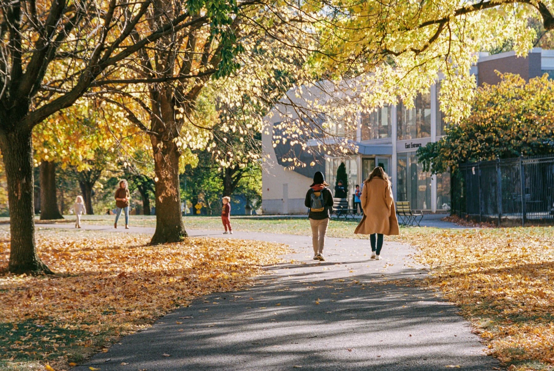 Students walking a curving path through fallen leaves under golden autumn trees toward a campus building